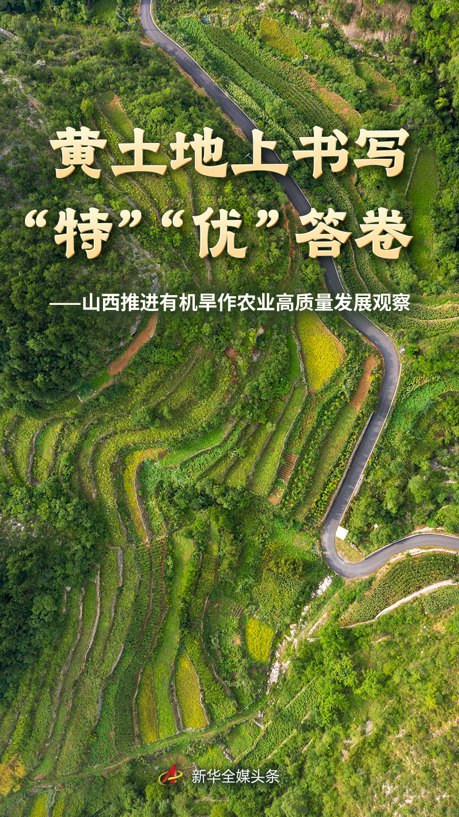 深度解析： - 熊猫体育
